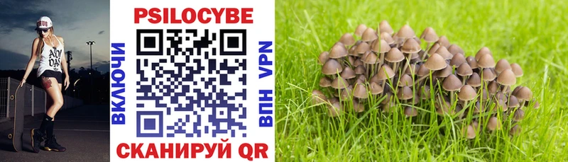 купить наркотик  Петухово  Галлюциногенные грибы MAGIC MUSHROOMS 